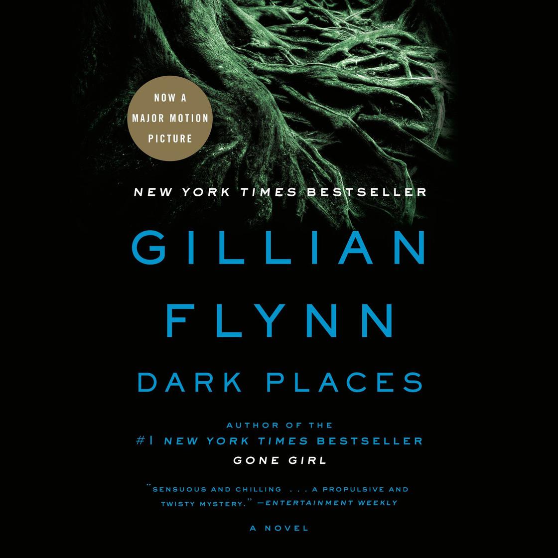 Dark Places by Gillian Flynn