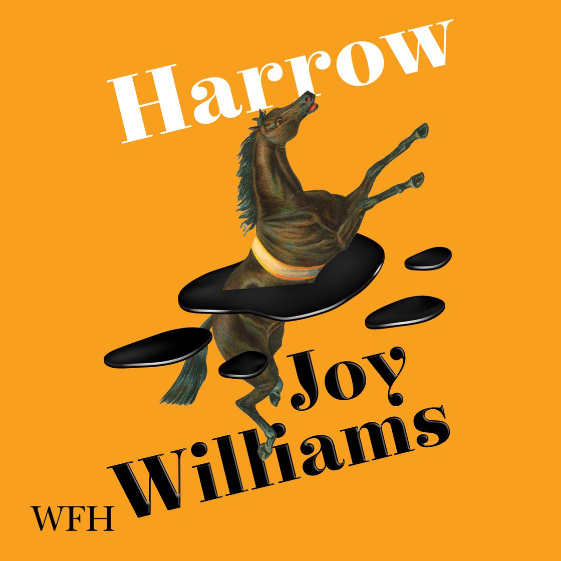 Harrow by Joy Williams