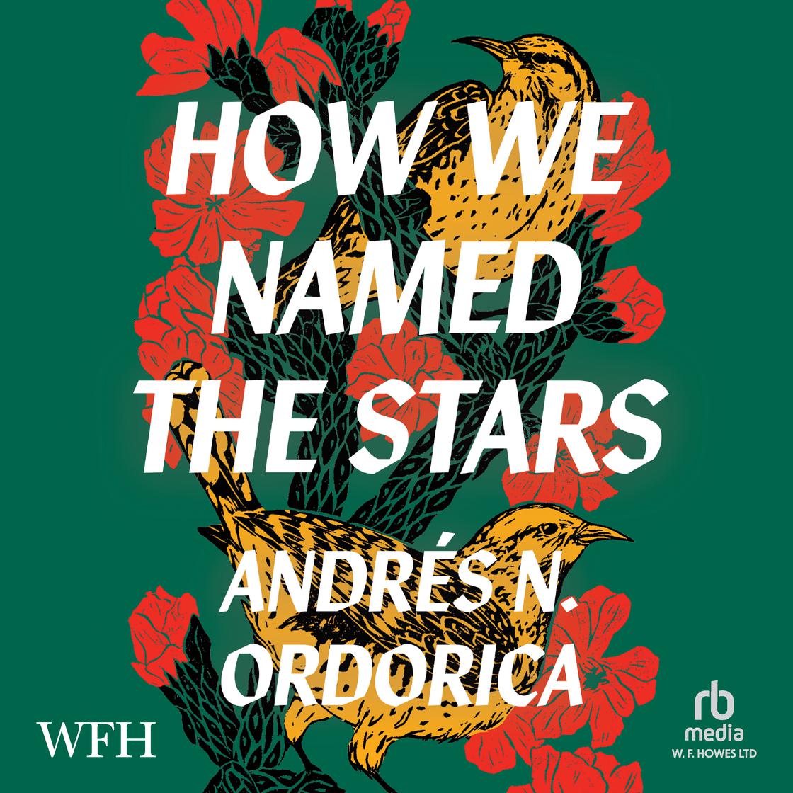 How We Named the Stars by Andrés N. Ordorica