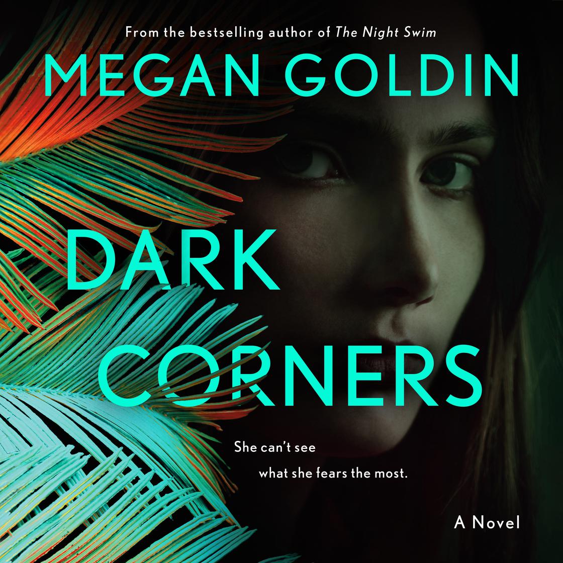 Dark Corners by Megan Goldin