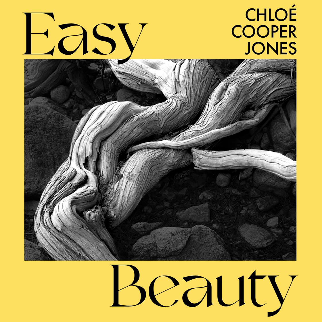 Easy Beauty by Chloé Cooper Jones