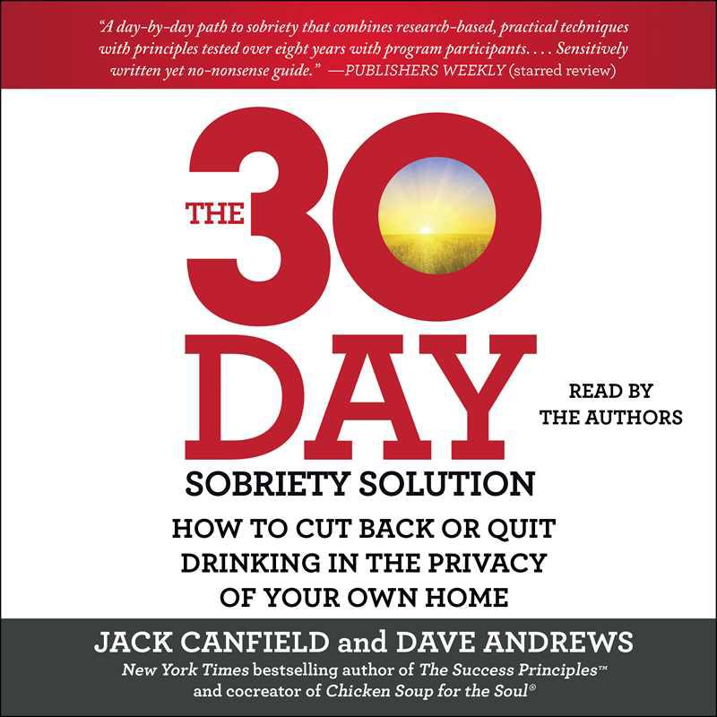 The 30-Day Sobriety Solution by Jack Canfield & Dave Andrews