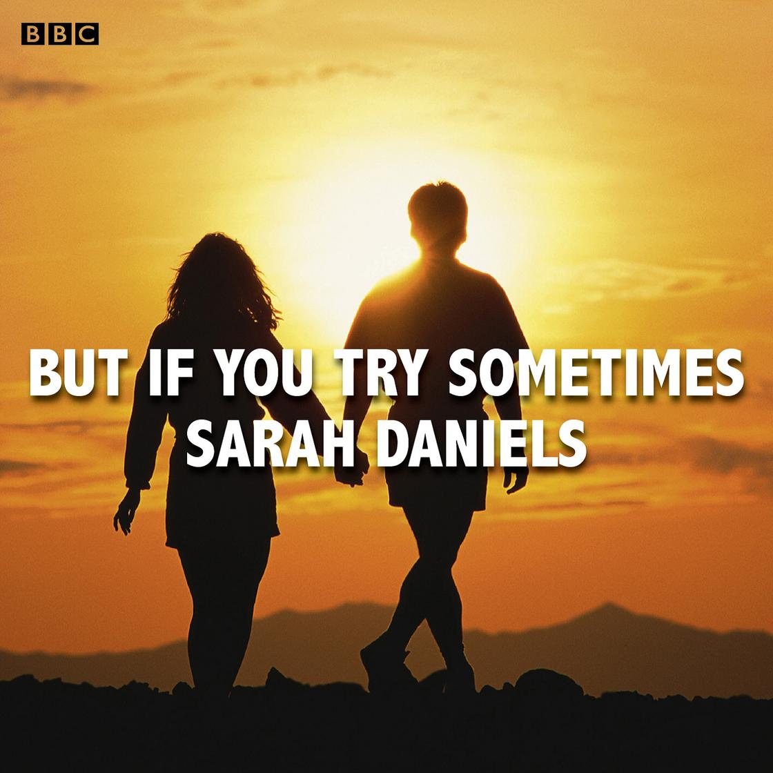 But If You Try Sometimes by Sarah Daniels