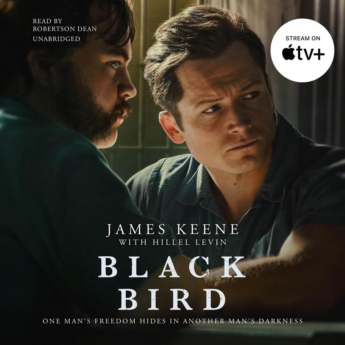 Black Bird by James Keene