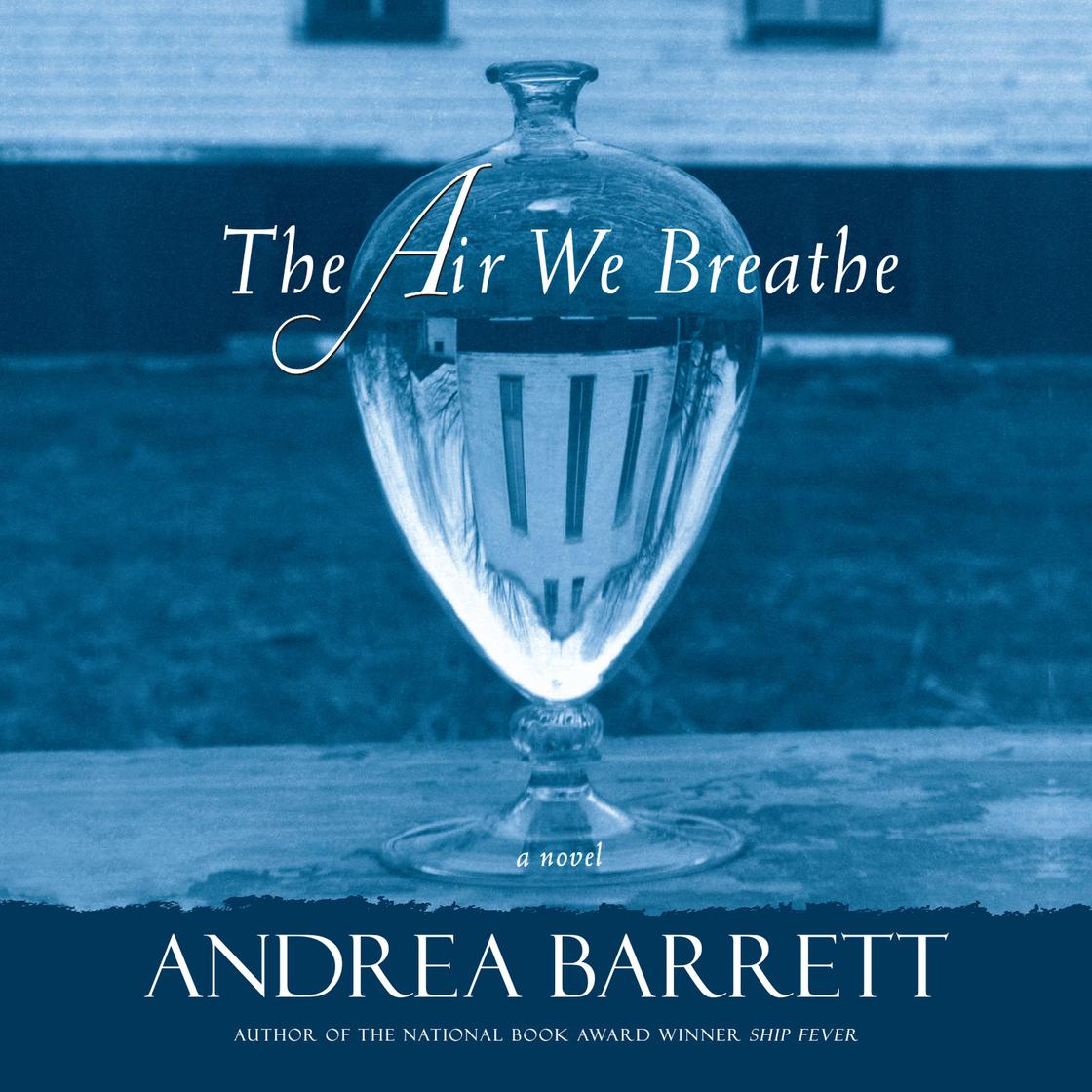 The Air We Breathe by Andrea Barrett