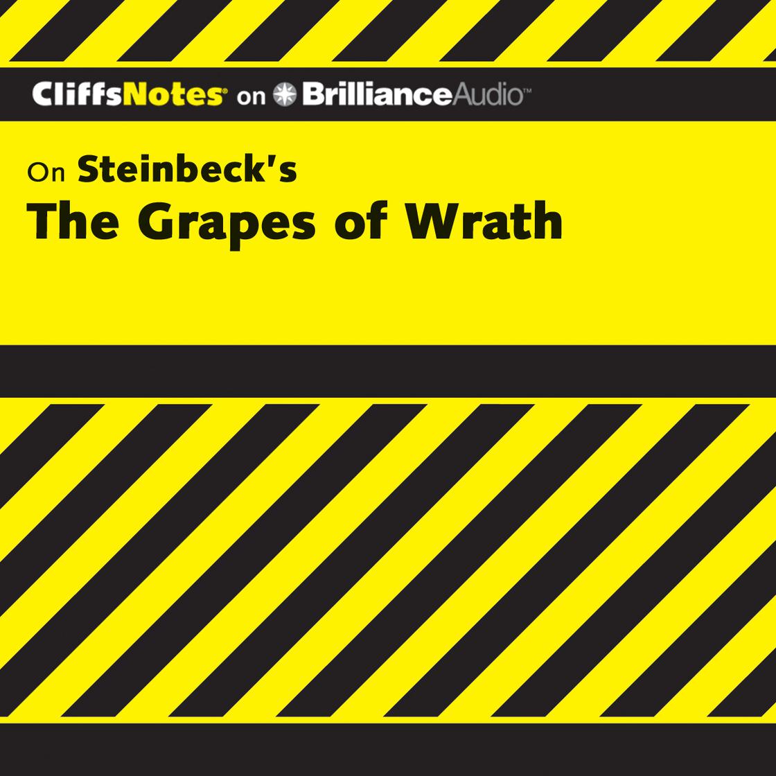 The Grapes of Wrath by Kelly McGrath Vlcek