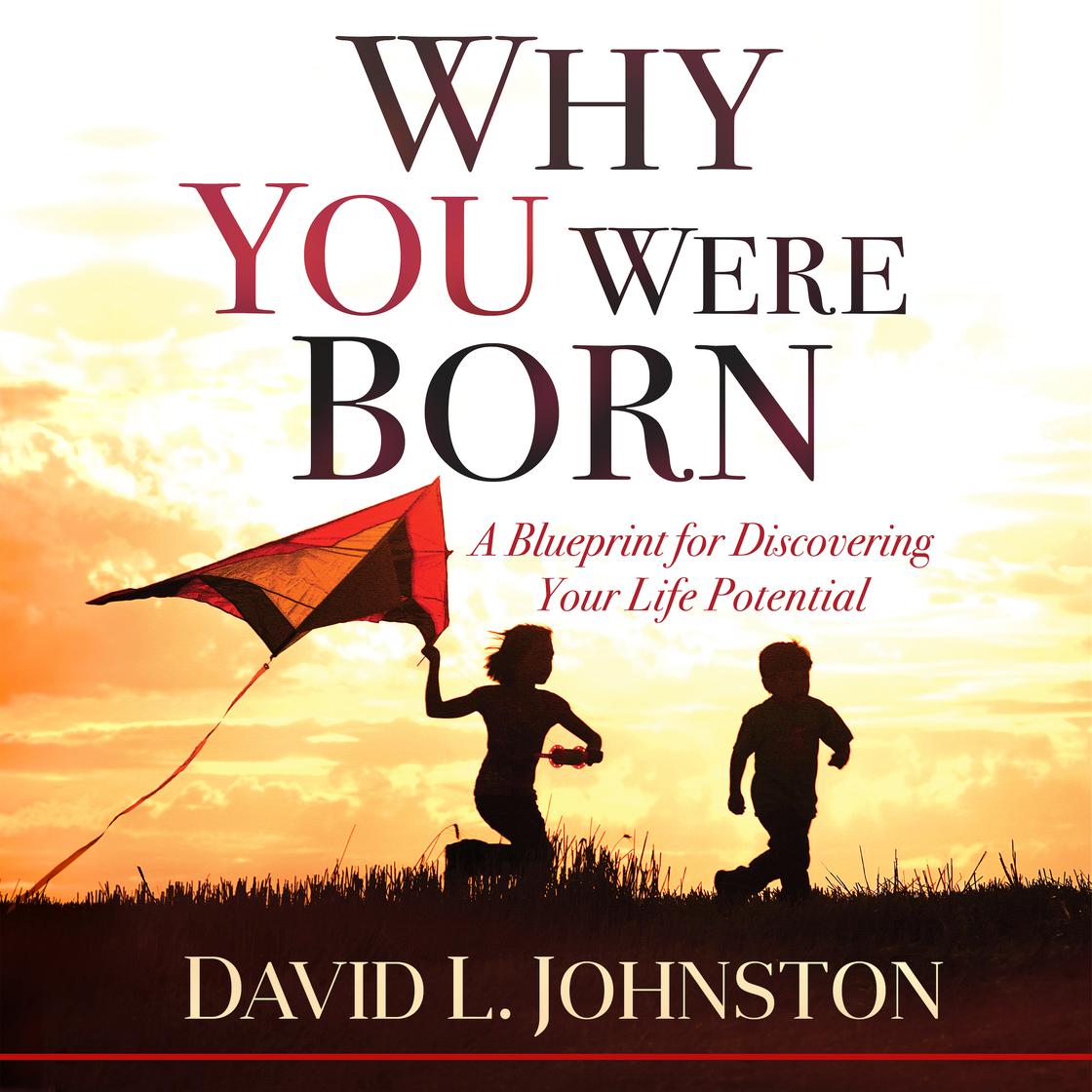 Why You Were Born by David L Johnston