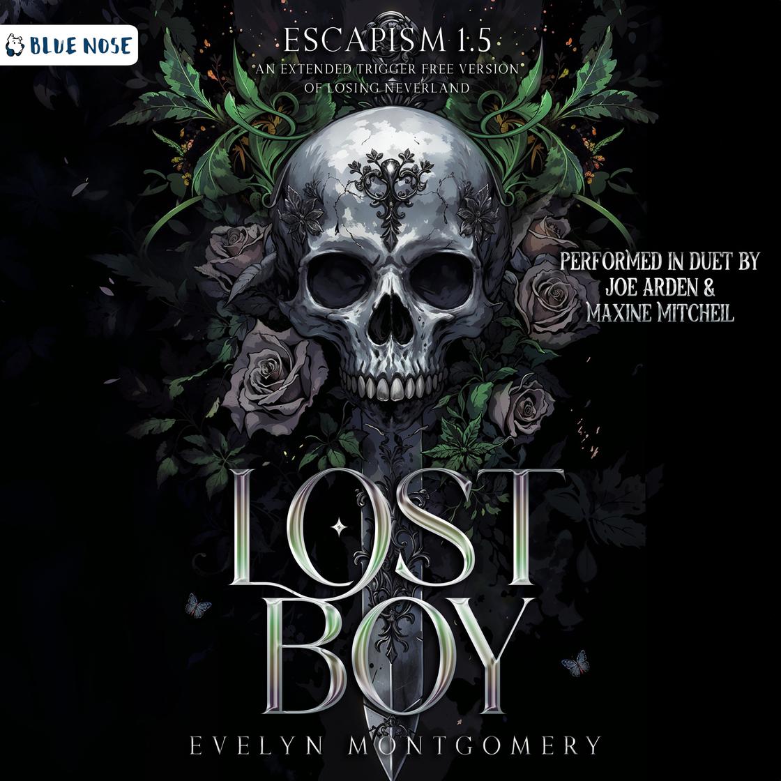 Lost Boy by Evelyn Montgomery