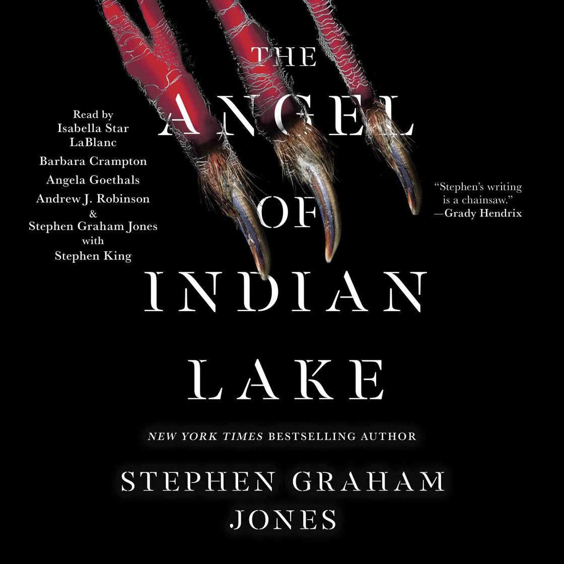 The Angel of Indian Lake by Stephen Graham Jones