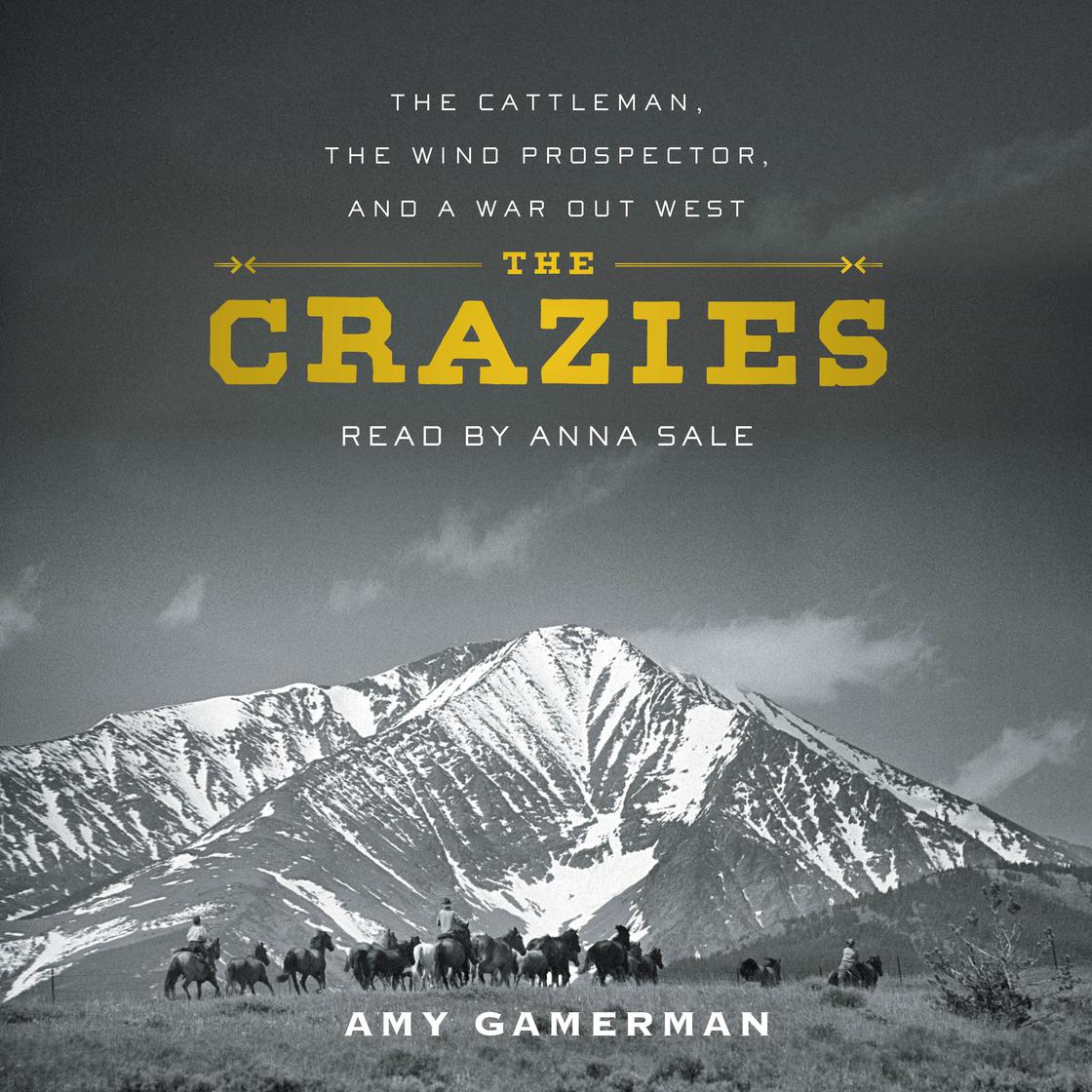 The Crazies by Amy Gamerman