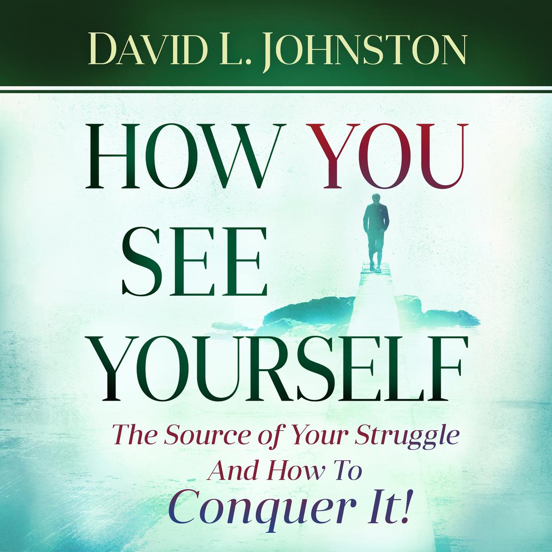 How You See Yourself by David L Johnston