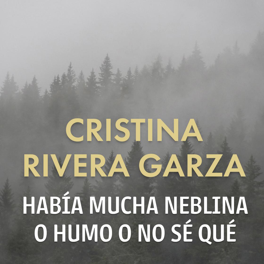 Había mucha neblina o humo o no sé qué by Cristina Rivera Garza