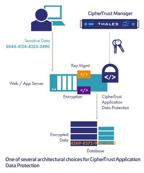 Data Protection