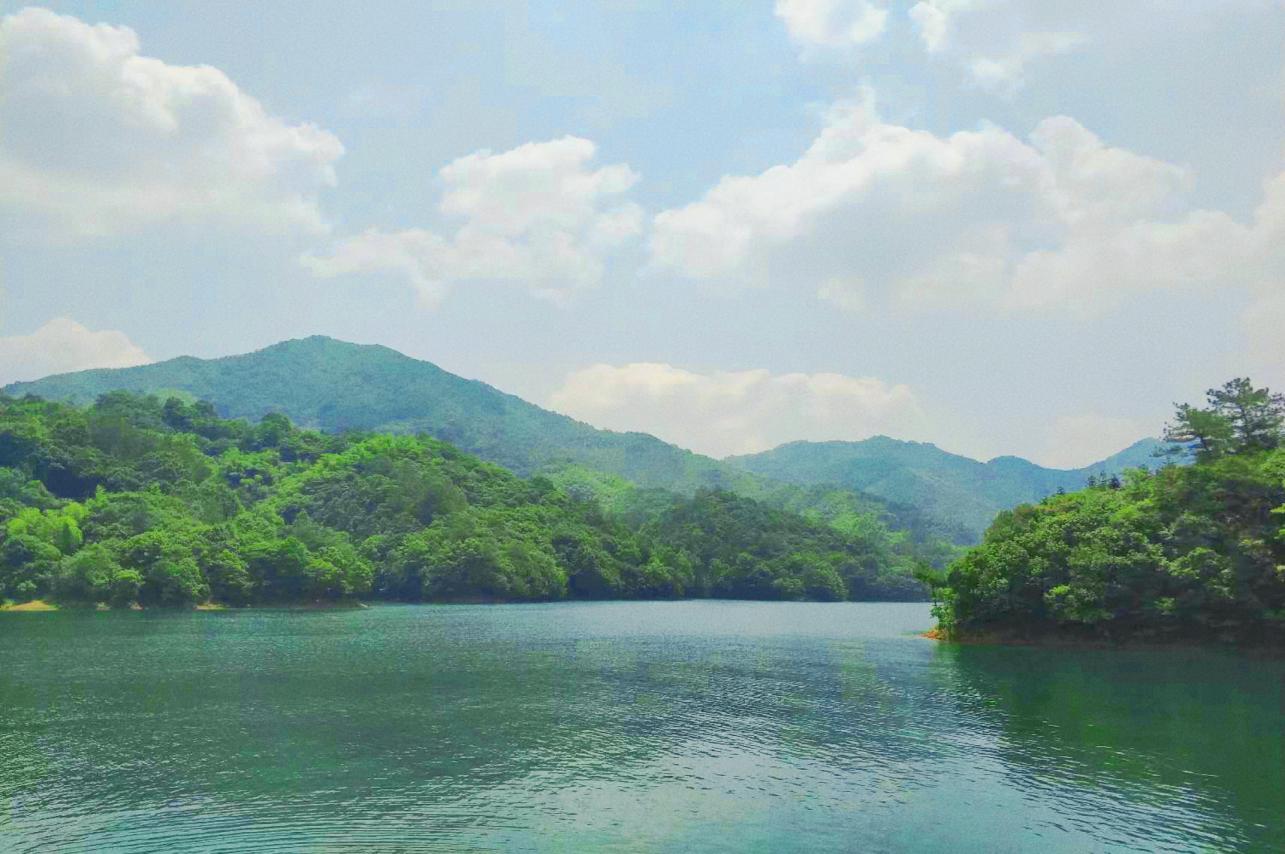 皖美夏日，游湖天花板！这条风景道带你走起！