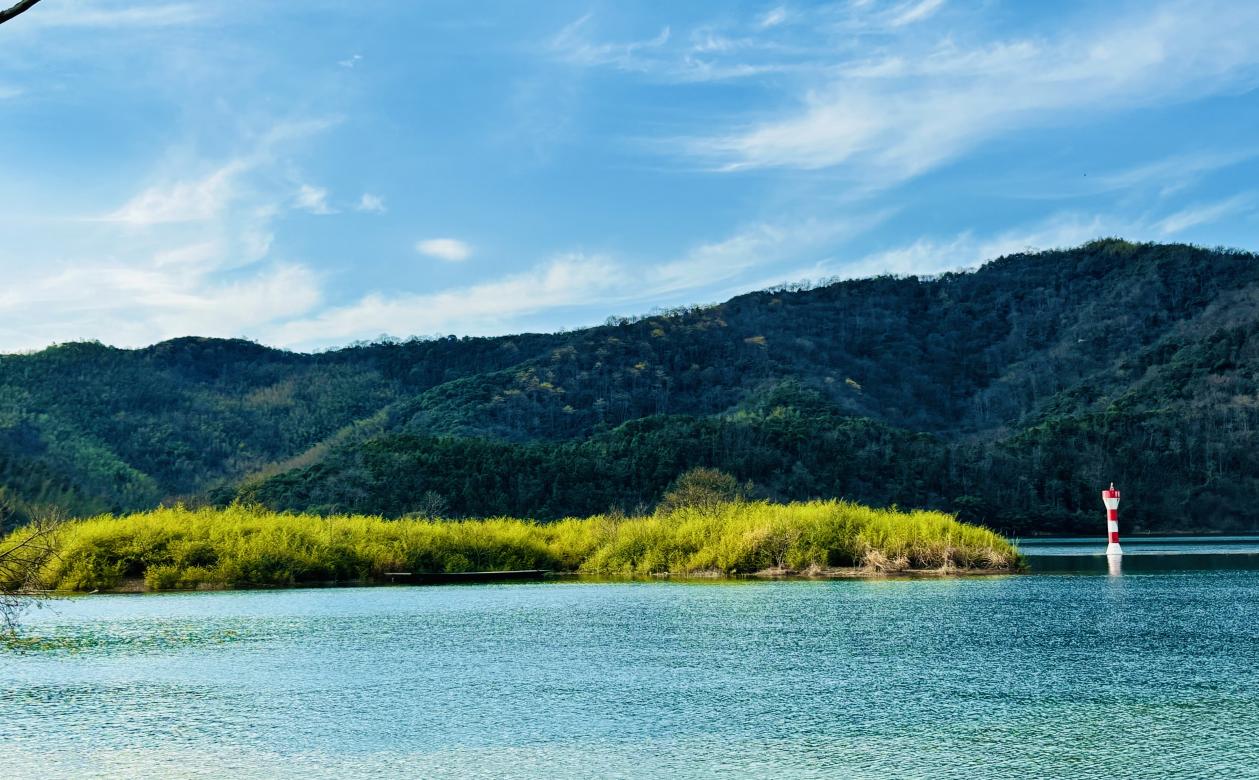 皖美夏日，游湖天花板！这条风景道带你走起！