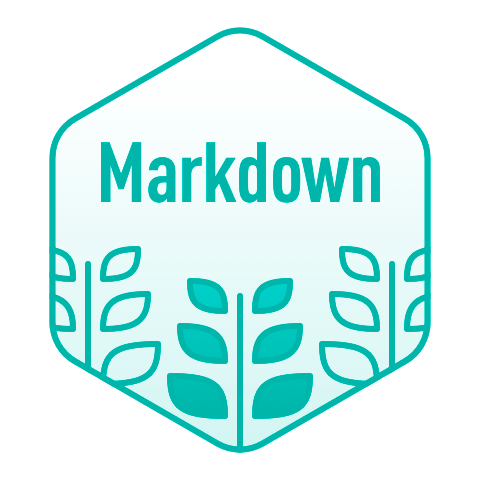 MarkDown