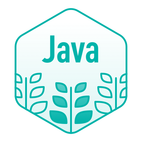 Java