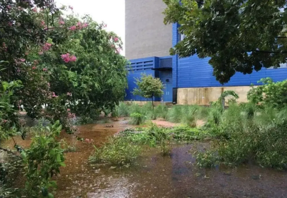 Hurricane Harvey shows need to use more green infrastructure