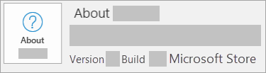 Screenshot showing version and build is Microsoft Store