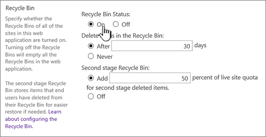 recycle settings section of web application general settings page