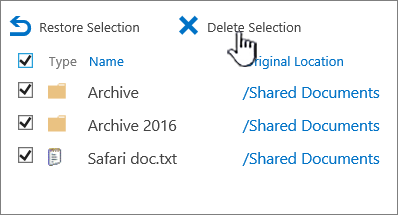 SharePoint 2016 2nd level recycle bin with all items selected and delete highlighted