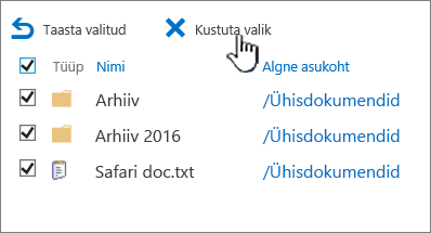 SharePoint 2016 teise astme prügikast, kus on valitud kõik üksused ja esile tõstetud nupp „Kustuta“