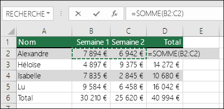 La cellule D2 affiche la formule SOMME via la fonctionnalité Somme automatique : =SOMME(B2:C2)