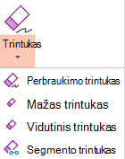 "PowerPoint", skirtoje "Office 2019", yra keturi skaitmeninio rankraščio trintukai.