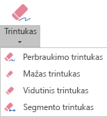 "PowerPoint", skirtoje "Office 2019", yra keturi skaitmeninio rankraščio trintukai.