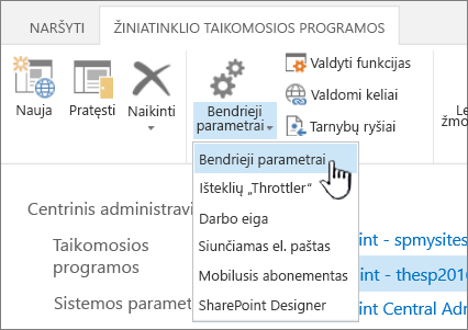 Juostelės sekcijos tvarkymas, kai pasirinkti bendrieji parametrai