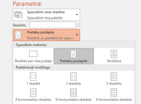 pastabų spausdinimo parinkčių ekrano nuotrauka