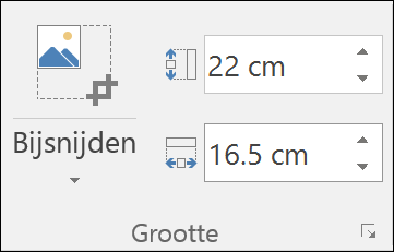 Schermafbeelding van de instellingen voor hoogte en breedte