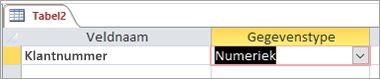 Eerste veldnaam en gegevenstype van een nieuwe Access-tabel