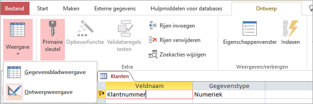 De tabelontwerpfunctie schakelen tussen de gegevensbladweergave en de ontwerpweergave