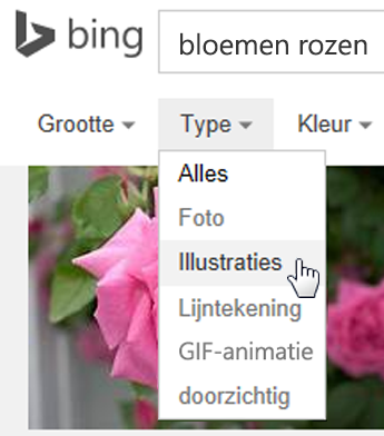 Selecteer het filter Type en kies Illustraties