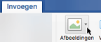 Selecteer Invoegen op het lint en selecteer achtereenvolgens Afbeeldingen en Online afbeeldingen