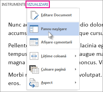 Imaginea meniului Vizualizare din Modul Citire, având selectată opțiunea Panou de navigare.