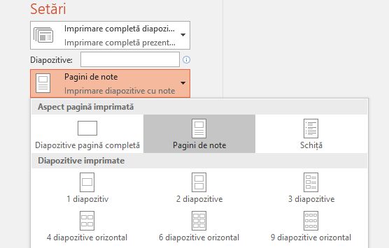 captură de ecran cu opțiunea de imprimare a notelor