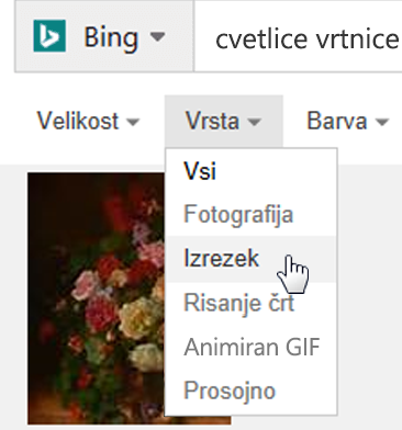 Izberite filter »Vrsta« in nato še »Slikovni izrezek«
