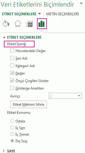 Veri Etiketini Biçimlendir bölmesinin Etiket Seçenekleri bölümü