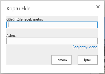 Bağlantı adı için bir Görüntülenecek metin alanı ve bağlantı URL’si için de bir Adres alanının sağlandığı Köprü Ekle iletişim kutusunun ekran görüntüsü. Bağlantının çalıştığından emin olmak için Bağlantıyı dene seçeneğini kullanın.