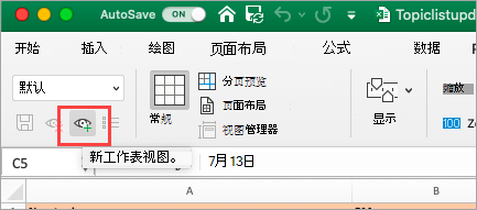 显示 Excel 电子表格