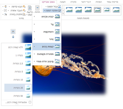 השתמש ב'אפקטי תמונה' כדי להוסיף צל, קצוות רכים, מסגרות משופעות או אפקטים חזותיים אחרים.