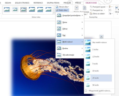 Mogućnost Efekti slike koristite da biste dodali sjenu, meke rubove, kosine i ostale vizualne efekte.