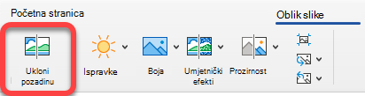Mogućnost Ukloni sliku nalazi se na kartici Oblik slike u aplikacijama sustava Office.