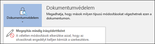 A Védelem elem kijelölése után megjelenik a Mindig írásvédetten nyíljon meg lehetőség.