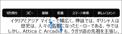 テキストをタップし、[スマート検索] をタップする