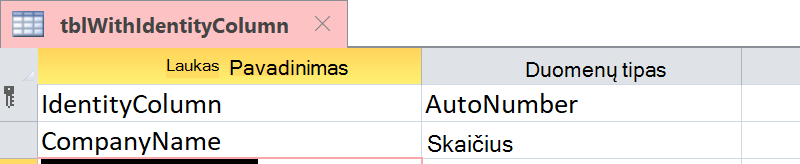 Rodyti, kad tapatybės stulpelis identifikuojamas kaip automatinio numeravimo laukas