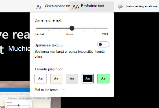 Vizualizarea Immersive Reader activată pe Microsoft Edge afișând meniurile de vizualizare.