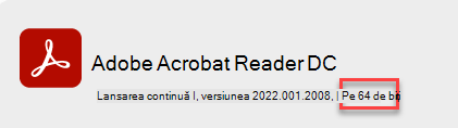 Despre informațiile despre versiunea Adobe.